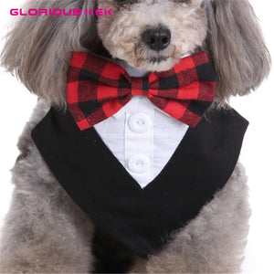 Dog Tuxedo with Red Bowtie