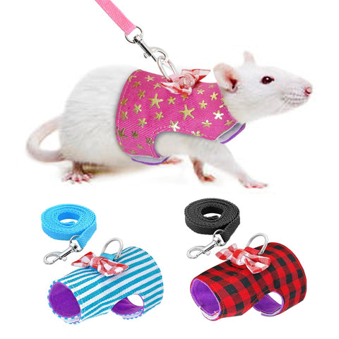 Harness and Leash for small Animals