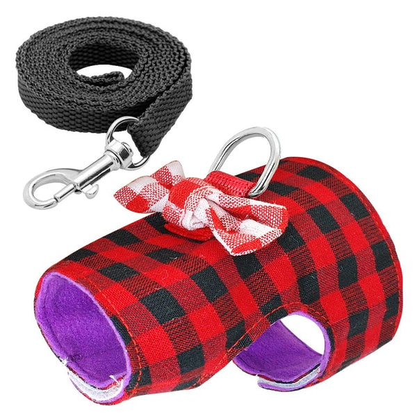 Harness and Leash for small Animals