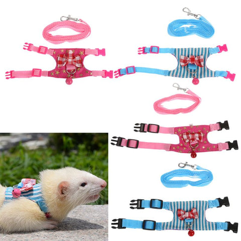 Harness and Leash Set For Small Animals