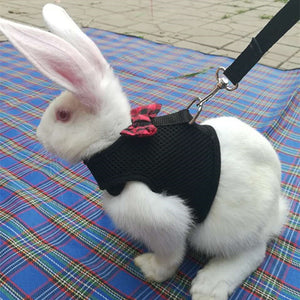 Mesh Harness For Small Animals